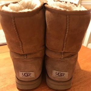 Tan short authentic Ugg boots!
